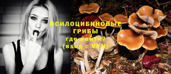 ешки Баксан