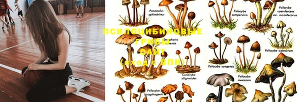 ешки Баксан